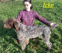 ICKO des Etangs d'ASSAT